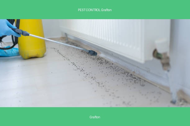 PEST CONTROL Grafton